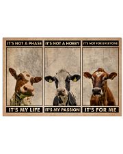 Cattle It's Not A Phase 24x16 Poster front