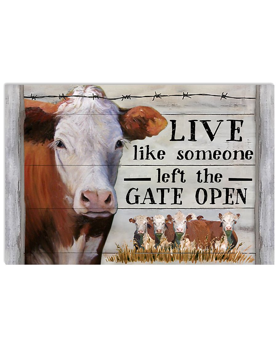 Hereford Cattle Live Like Someone Left Gate Open 24x16 Poster