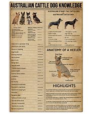 Australian Cattle Dog Knowledge 11x17 Poster front