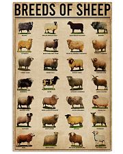 Breeds Of Sheep Farm 11x17 Poster front