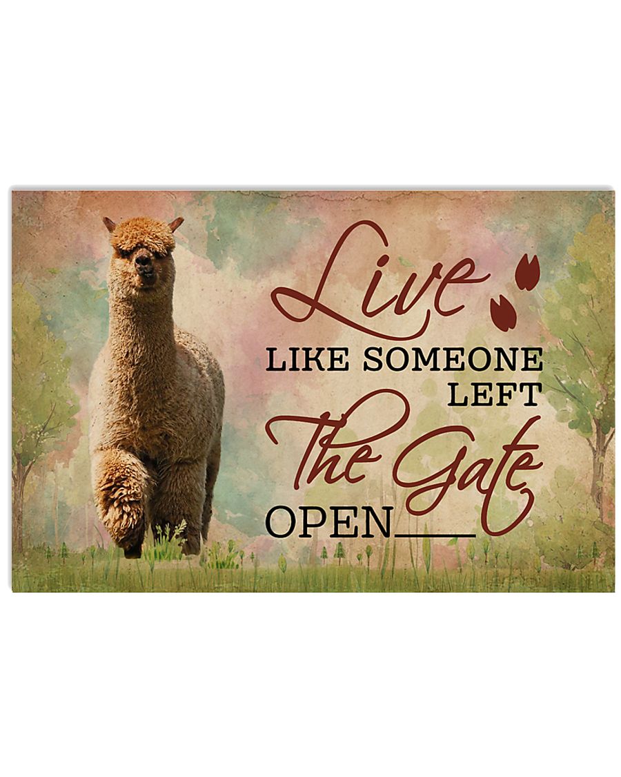 Live Like Someone Left The Gate Open Alpaca 17x11 Poster
