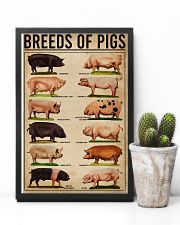 Breeds Of Pigs 11x17 Poster lifestyle-poster-8