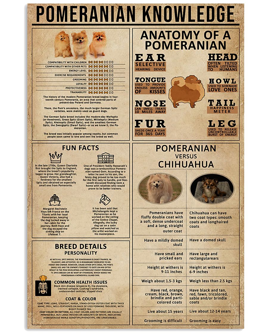 Pomeranian Knowledge 11x17 Poster