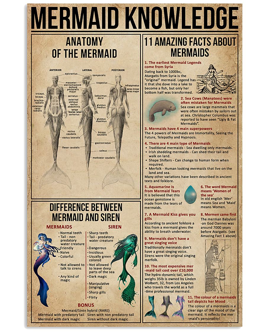 Mermaid Knowledge 11x17 Poster