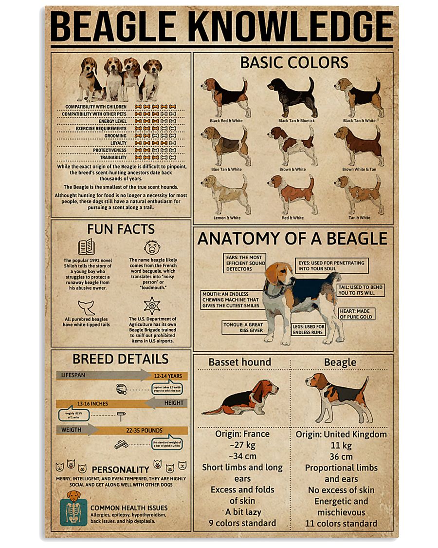 Knowledge Poster Beagle 16x24 Poster