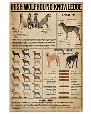 Irish Wolfhound Knowledge 16x24 Poster front