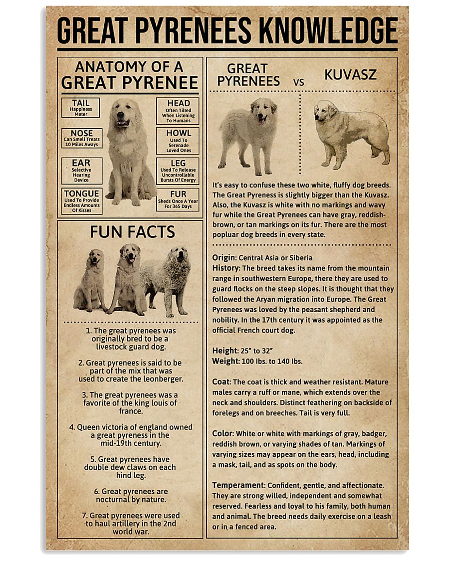Great Pyrenees Knowledge Dog 11x17 Poster