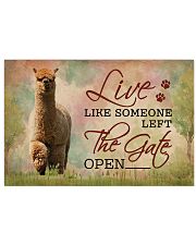 Live Like Someone Left The Gate Open Alpaca 24x16 Poster front