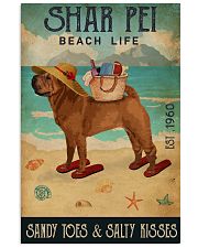 Beach Life Sandy Toes Shar Pei 11x17 Poster front