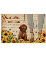 Vintage Sunflower Music Sheet Labradoodle 17x11 Poster front