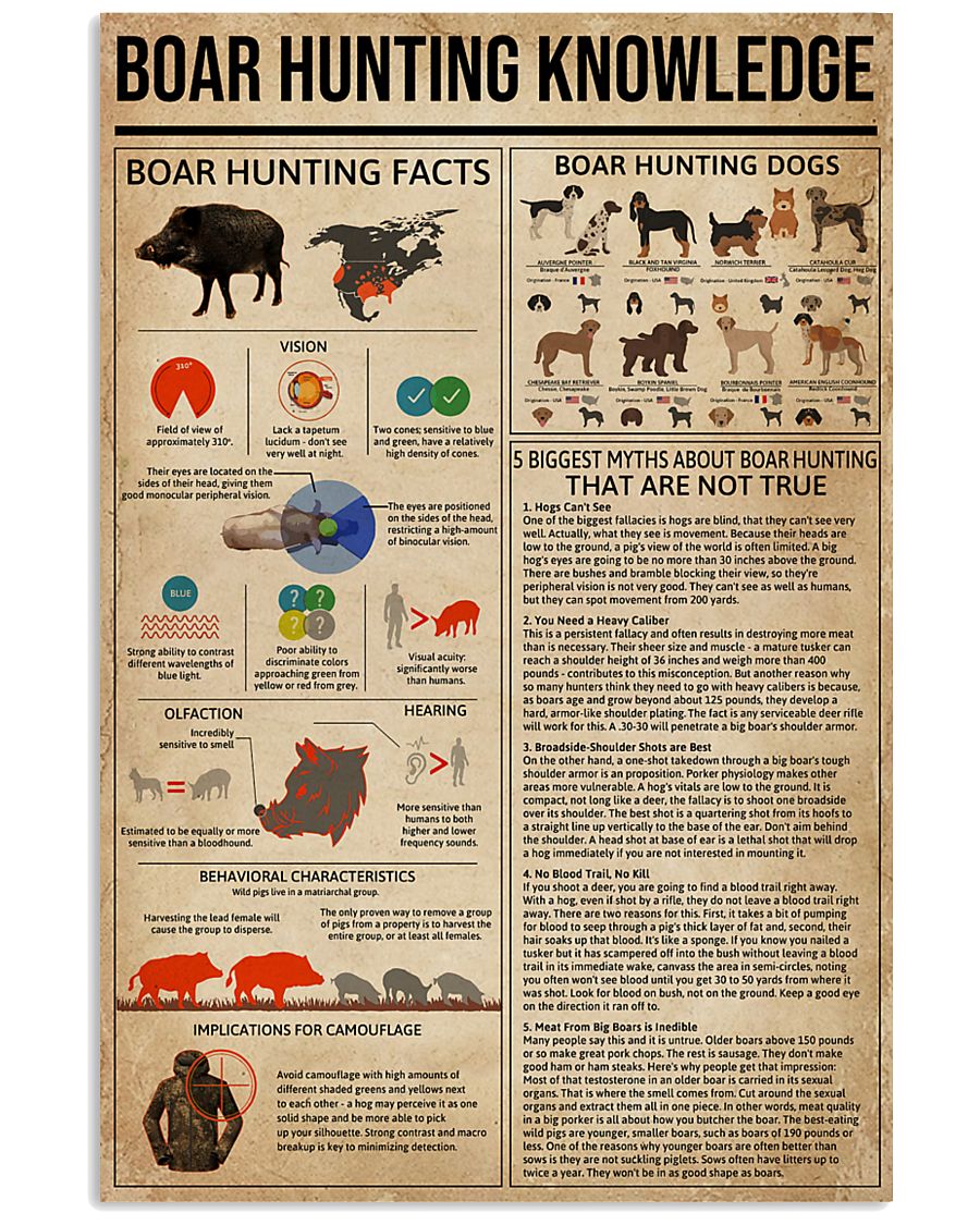 Boar Hunting Knowledge 11x17 Poster