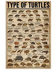 Type Of Turtles 11x17 Poster front