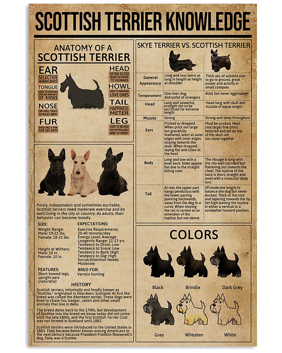 Scottish Terrier Knowledge 11x17 Poster