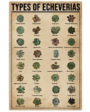 Types Of Echeveria Succulents 11x17 Poster front