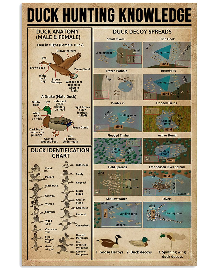 Duck Hunting Knowledge 11x17 Poster