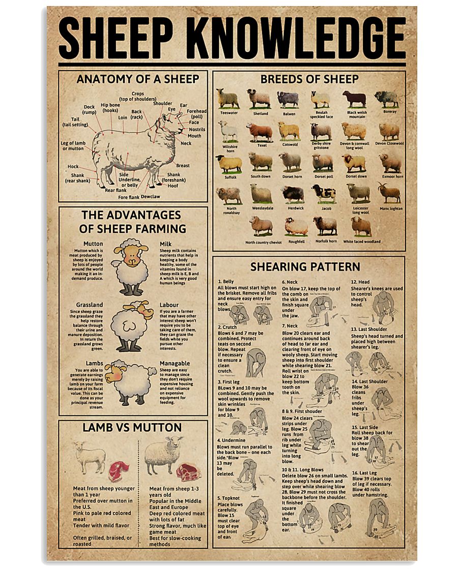 Sheep Knowledge Farm Life 11x17 Poster