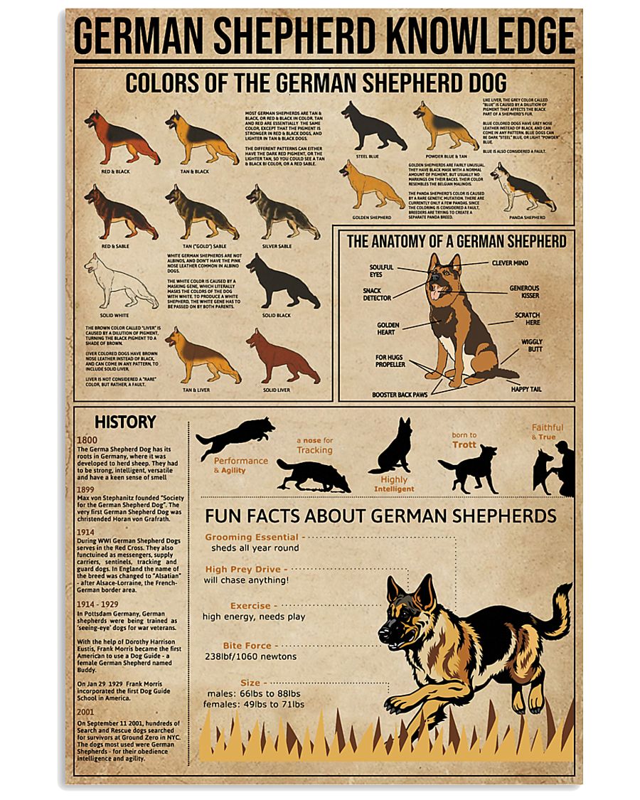 Knowledge German Shepherd 11x17 Poster