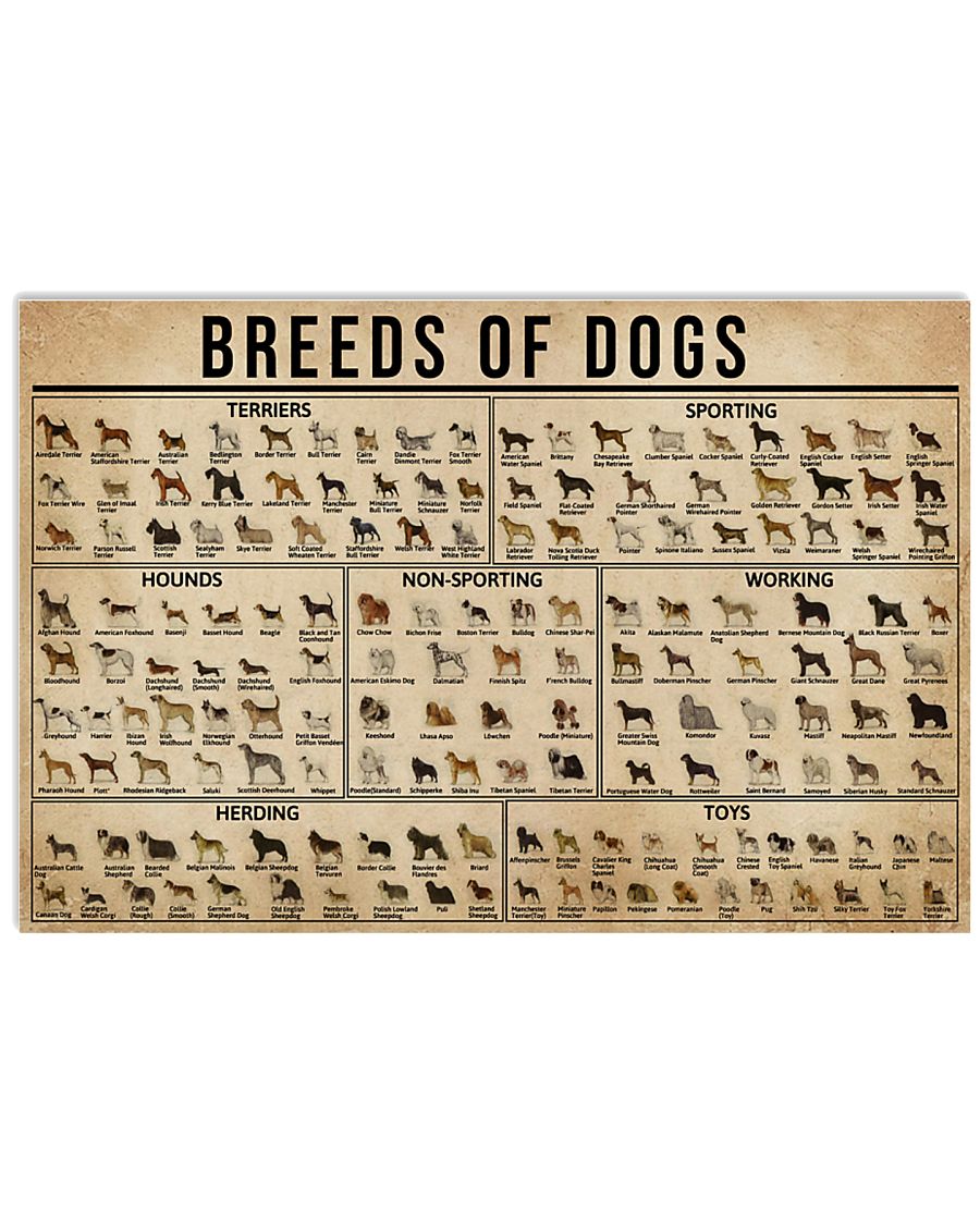 Breeds Of Dogs 17x11 Poster
