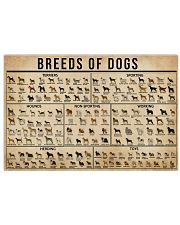 Breeds Of Dogs 17x11 Poster front