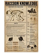 Raccoon Knowledge 11x17 Poster front