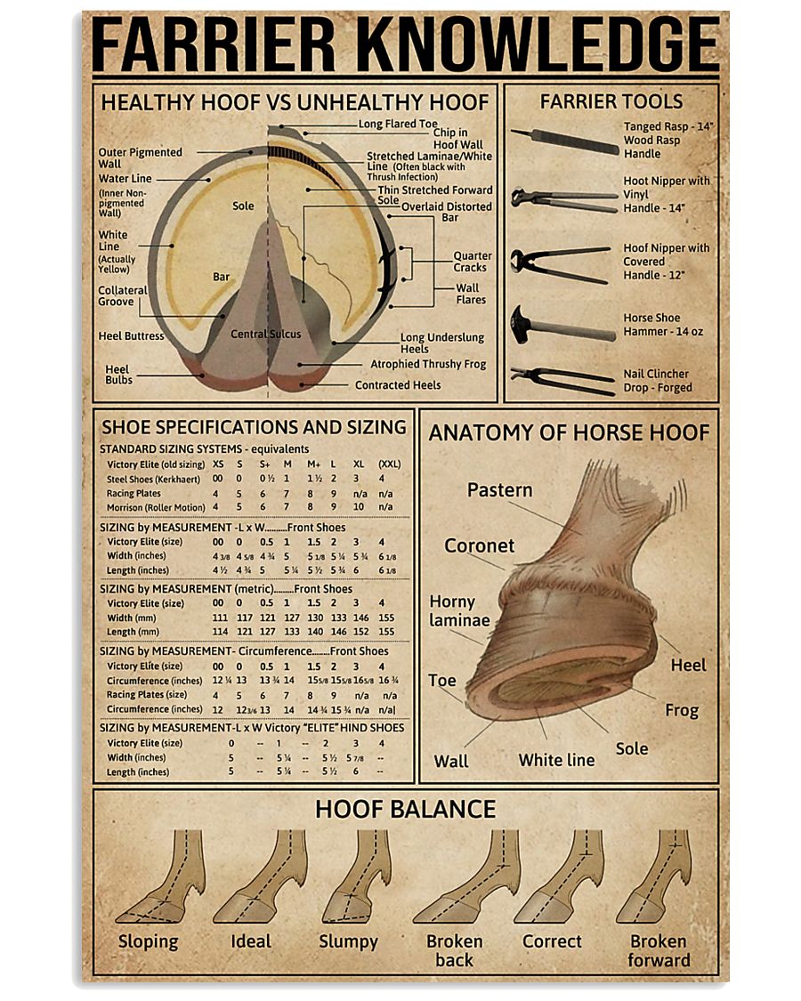 Farrier Knowledge 11x17 Poster