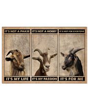 Goat It's Not A Phase 24x16 Poster front