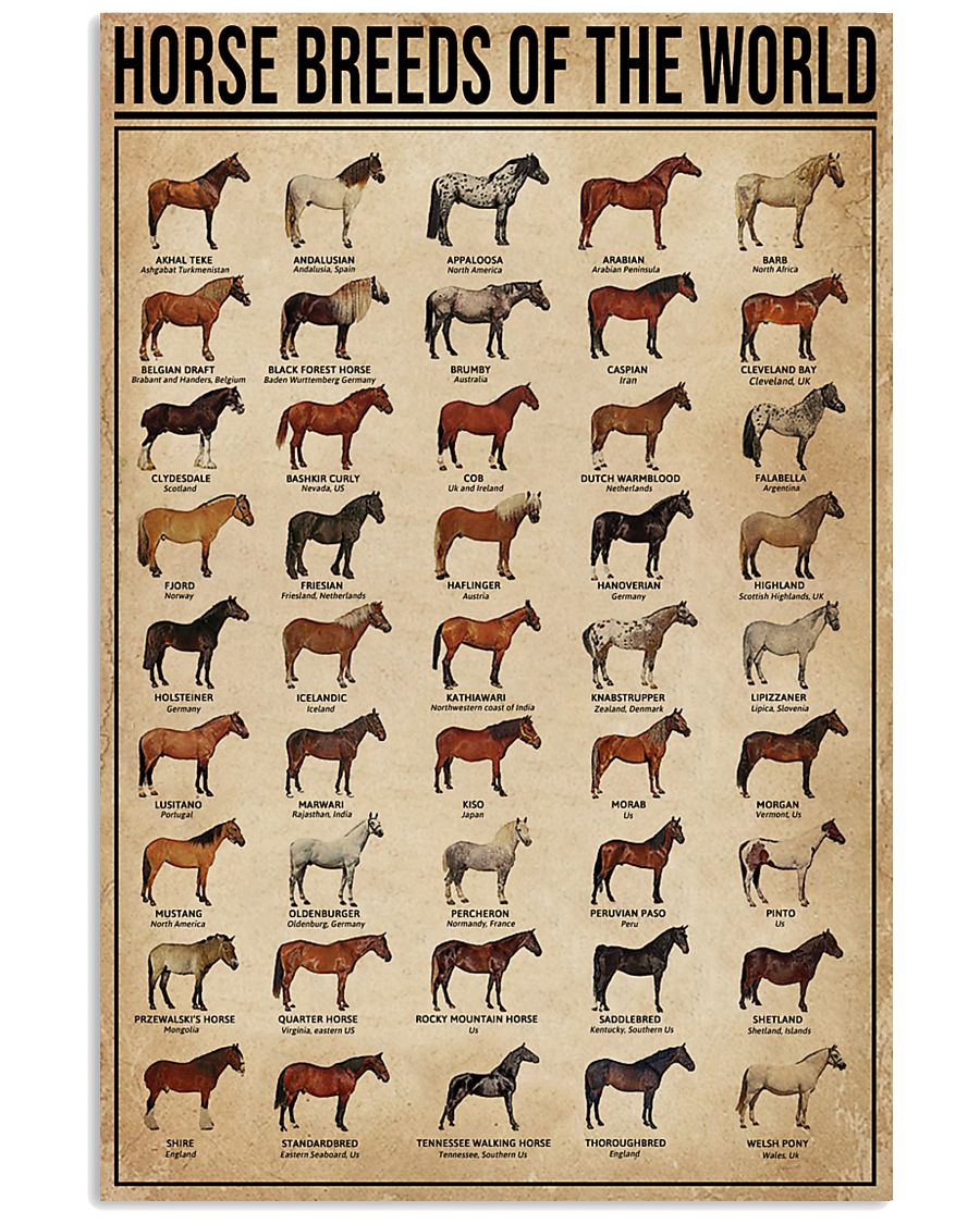 Horse Breeds Of The World 11x17 Poster