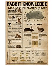 Rabbit Knowledge 11x17 Poster front