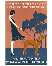 Vintage Girl Wonderful World Vizsla 11x17 Poster front