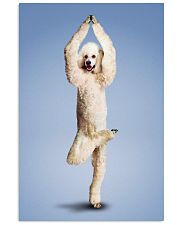 Yoga Pose Poodle 11x17 Poster front