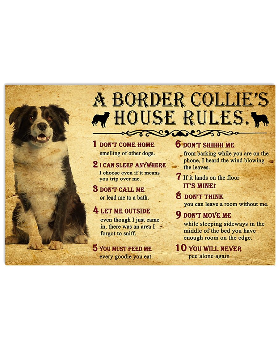 A Border Collie's House Rules 17x11 Poster