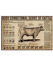 Body Conditional Score Of Cattle 17x11 Poster front