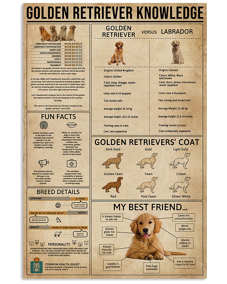 Golden Retriever Knowledge 11x17 Poster