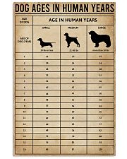 Dog Ages In Human Years 11x17 Poster front