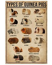 Types Of Guinea Pigs 16x24 Poster front