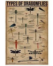 Types Of Dragonflies 11x17 Poster front