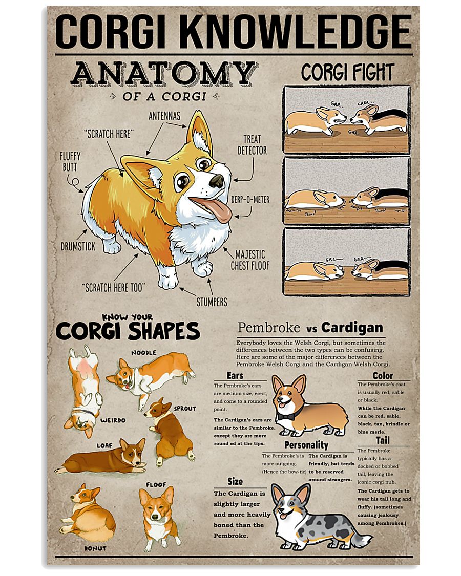 Corgi Knowledge Dogs 11x17 Poster