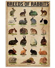 Breeds Of Rabbits 11x17 Poster front