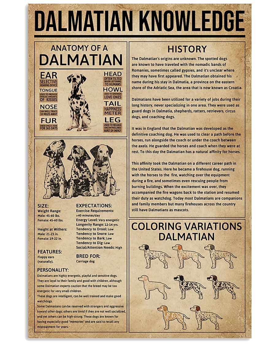 Dalmatian Knowledge 11x17 Poster