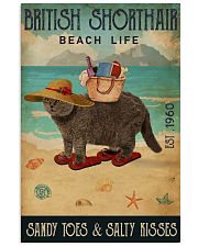 Beach Life Sandy Toes British Shorthair 11x17 Poster front