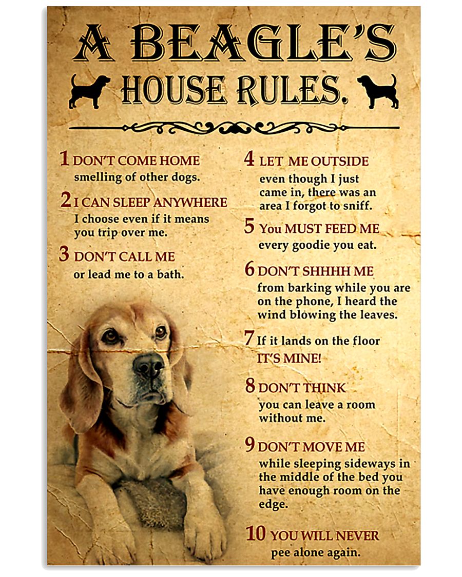 A Beagle's House Rules 11x17 Poster