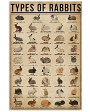 Types Of Rabbits 16x24 Poster front