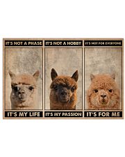Alpaca It's Not A Phase 24x16 Poster front
