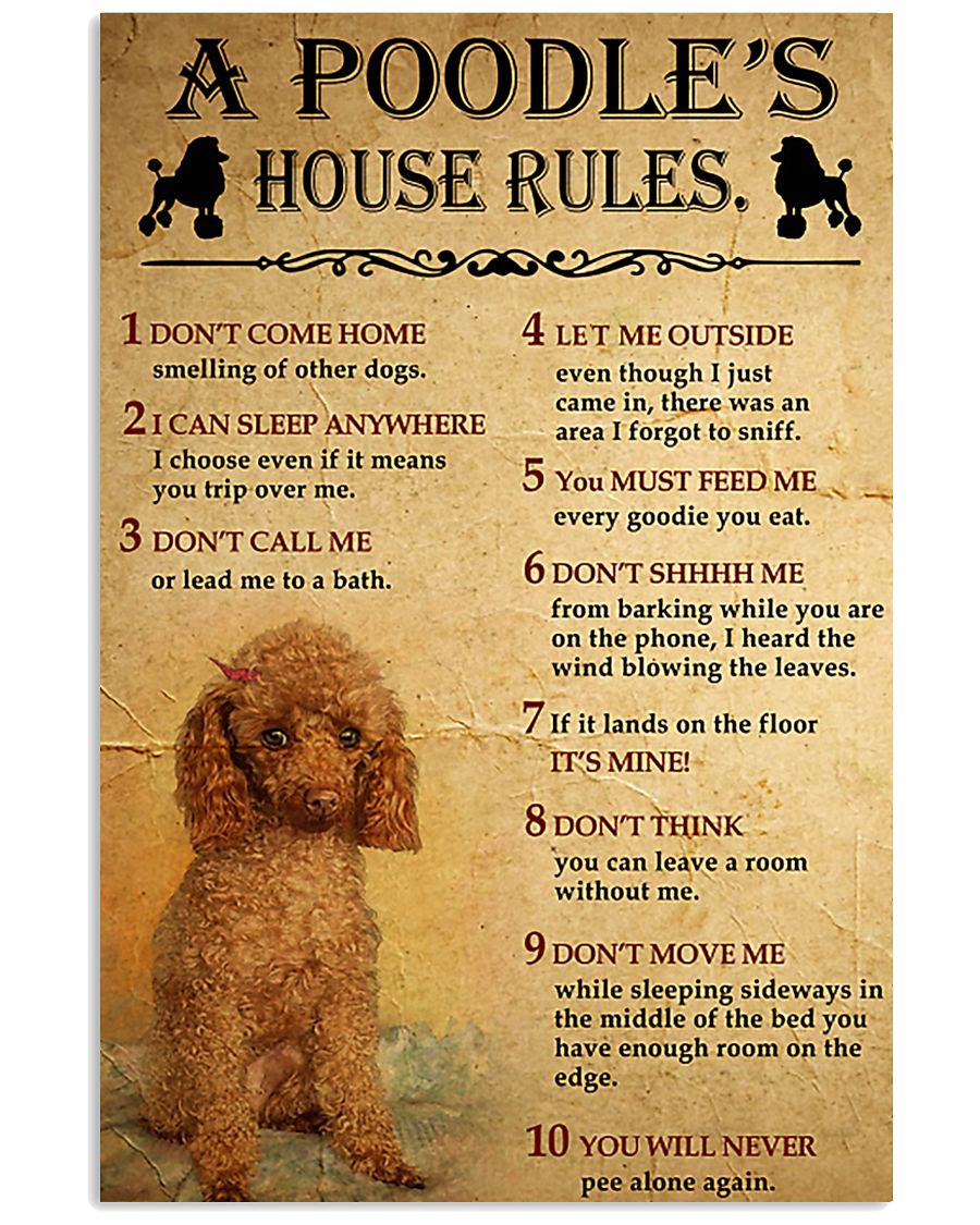 A Poodle's House Rules 11x17 Poster