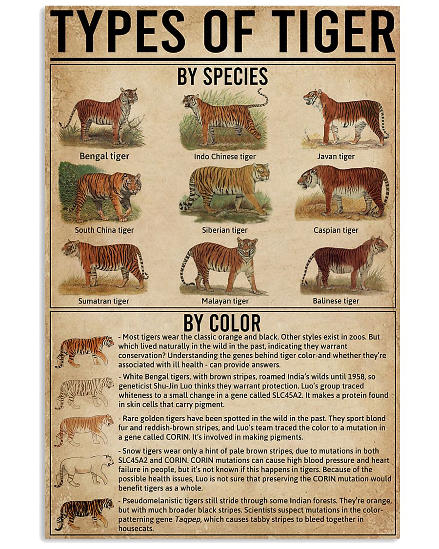 Types Of Tiger Wildlife