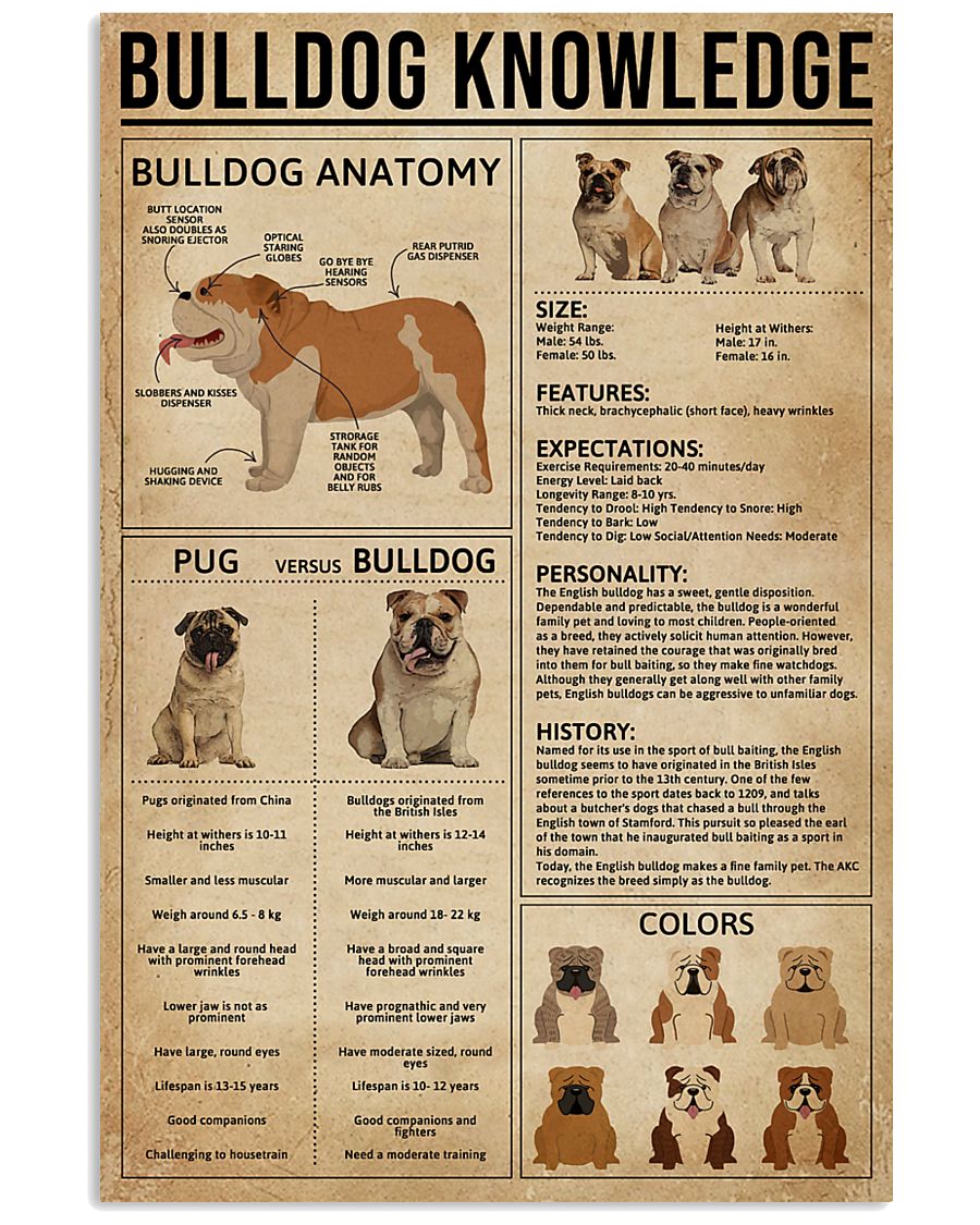 Bulldog Knowledge 11x17 Poster