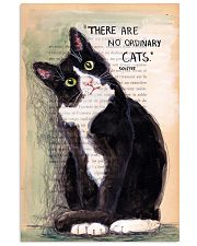There Are No Ordinary Cats 11x17 Poster front