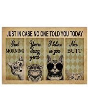 Just In Case No One Told You Today Cat 24x16 Poster front