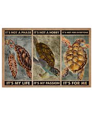 Sea Turtle It's Not A Phase 24x16 Poster front