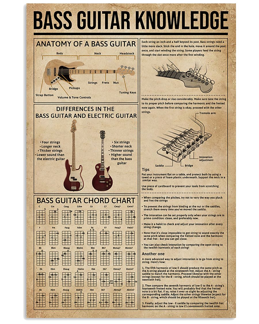 Bass Guitar Knowledge Instrument 11x17 Poster